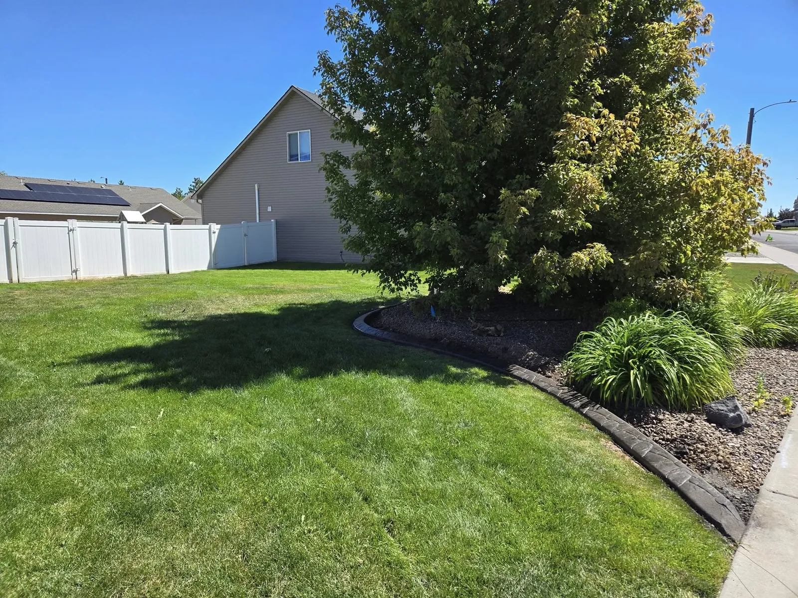 A dark patterned border flows between a green lawn and mature trees and ornamental grasses.