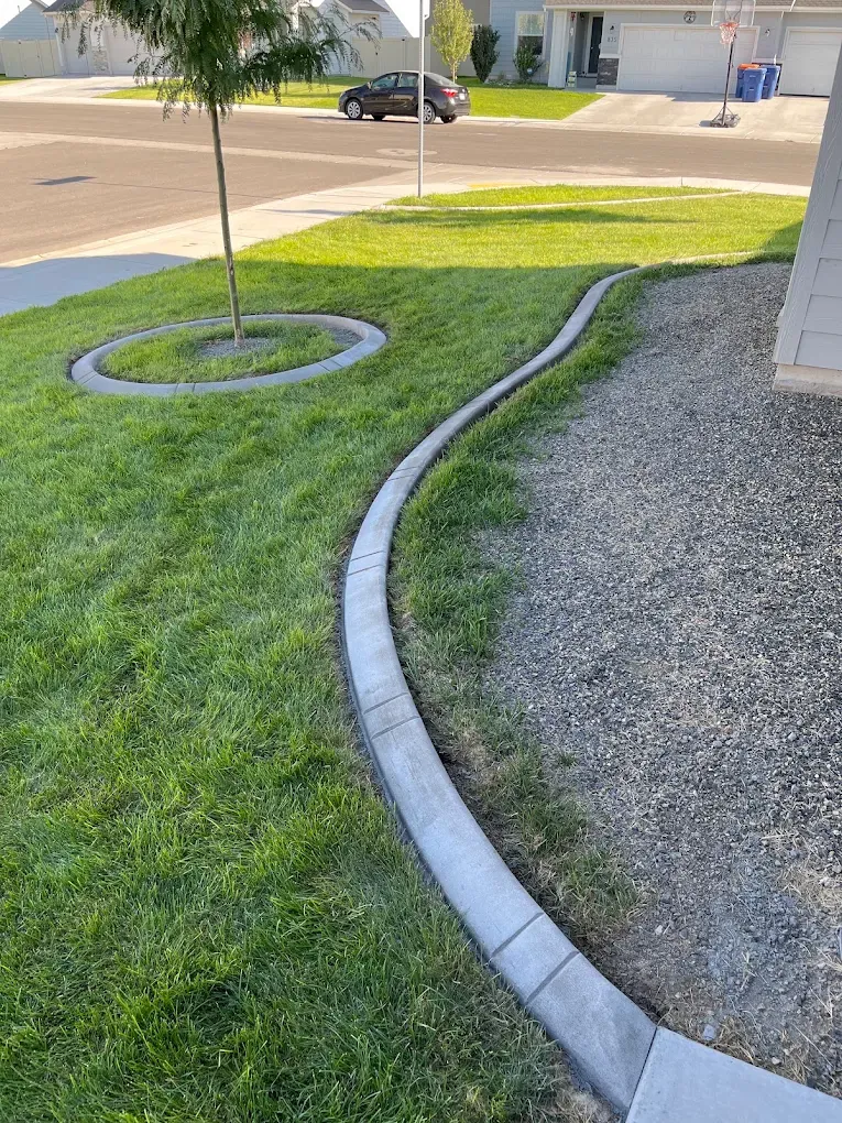 Pale curving edge connects a front lawn to a circular tree ring near the street.