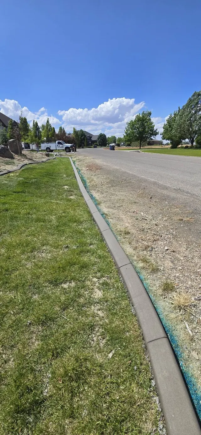 A straight curb runs beside a lawn toward the roadside distance.