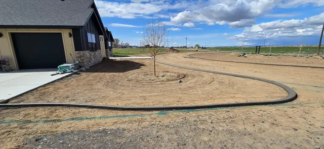 A fresh concrete curve encloses a young-tree bed near a garage.