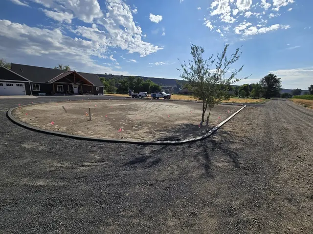 A dark oval border surrounds a young tree and bare soil within gravel.