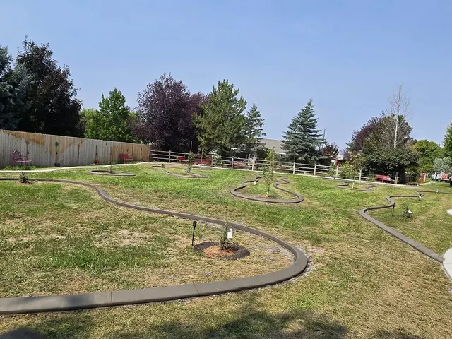Multiple fresh tree rings and organic islands are laid out across a fenced lawn.