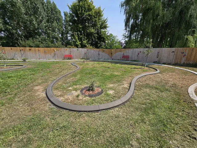 A small organic-shaped gray curb wraps a young tree and adjacent planting point.