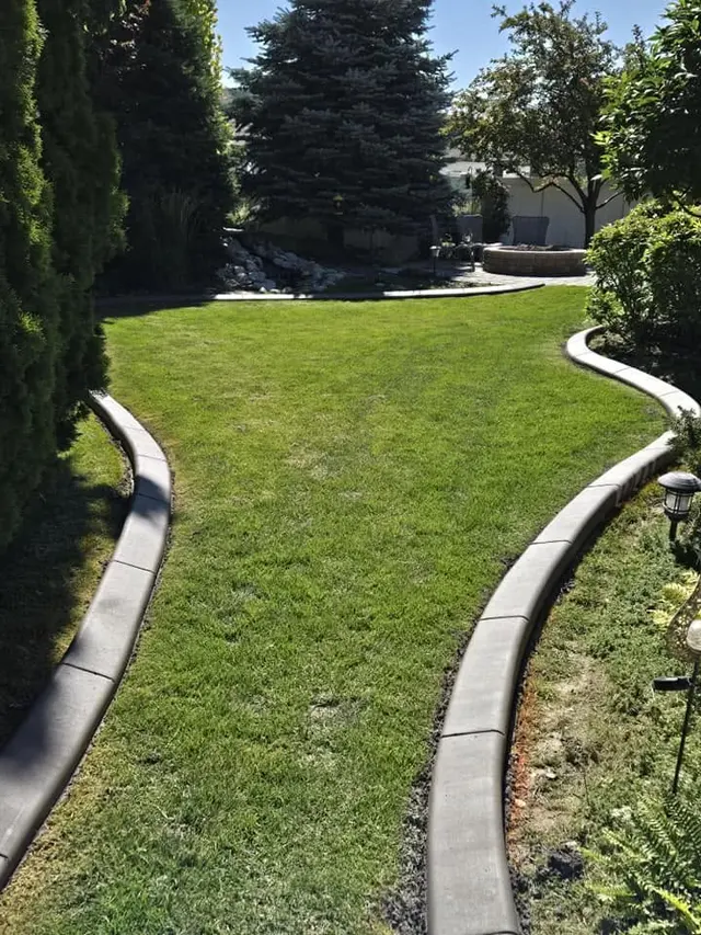 Two pale concrete curves frame a narrow lawn between mature shrubs.