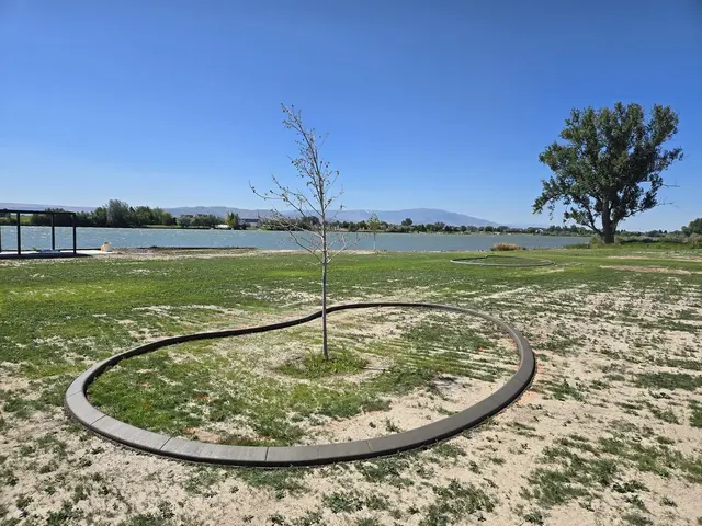 A complete oval curb surrounds a young tree against lawn and open scenery.
