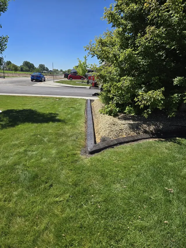 A dark curb bends from a lawn toward a planted roadside tree bed.