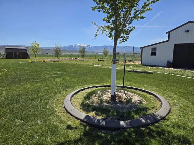 A complete round concrete ring encloses a young tree in an established lawn.