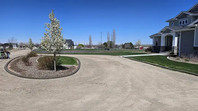 A flowering tree stands in a curbed planted island within a gravel drive.