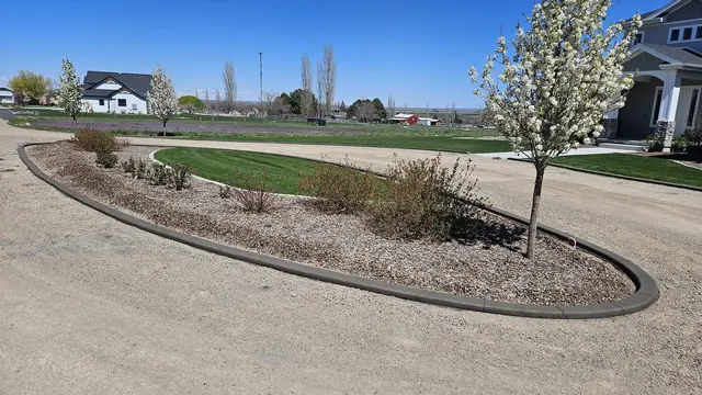 A dark border encloses a flowering tree, shrubs and lawn within a gravel drive.