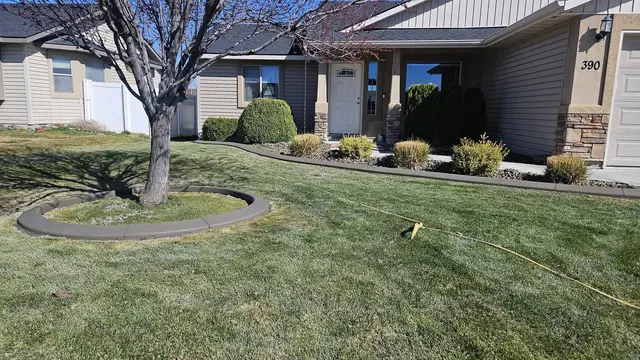 A round gray curb surrounds a mature lawn tree beside house-front planting.