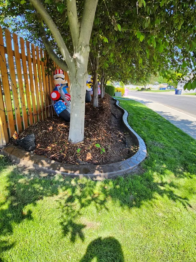 A patterned curb winds beneath trees beside a wood fence and lawn.