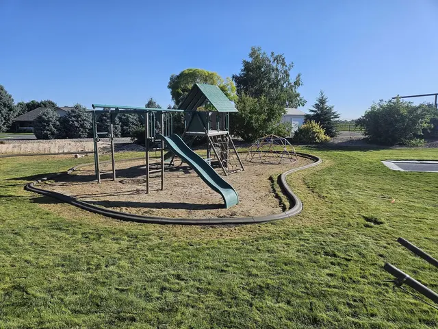 A curved concrete border surrounds a backyard play structure within an established lawn.