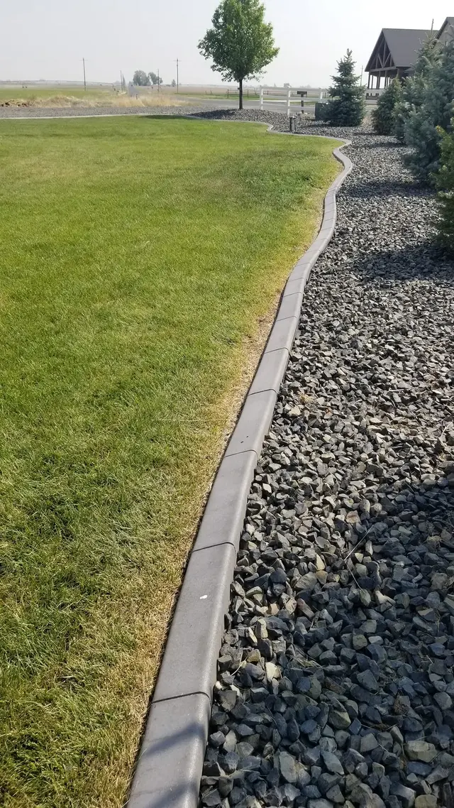 A portrait follows a long smooth edge between green grass and dark landscape stone.