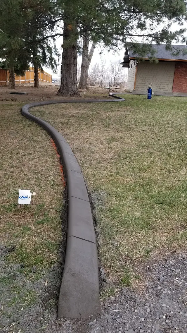 A portrait follows a smooth gray curb across a lawn beneath mature trees.