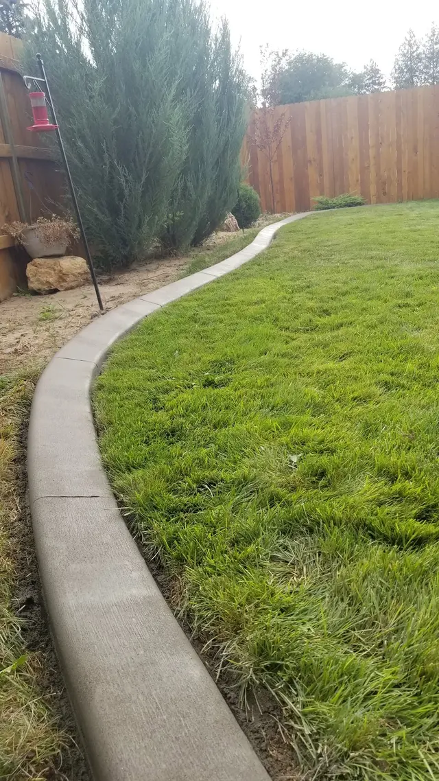 A portrait follows a pale smooth curb beside a bright lawn and a narrow garden bed.