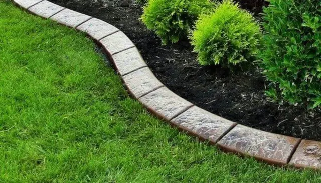 A pale textured S-curve separates bright grass from a dark mulched shrub bed.