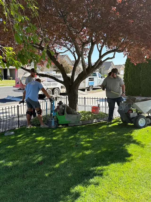 Workers and equipment beside a tree in a sunlit front yard.