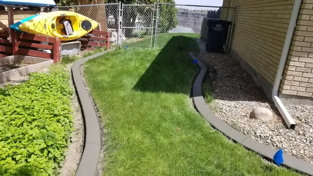 Twin concrete curves frame a narrow green side lawn between a house and a planted side strip.