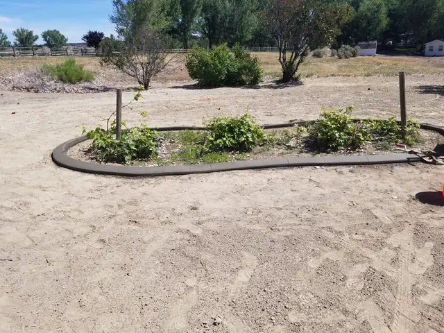 Fresh gray island border enclosing new planting in a broad bare-soil yard.