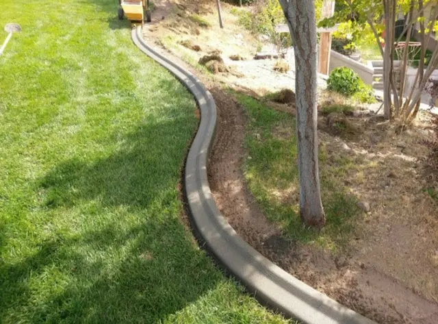 Smooth gray curve around a tree and planted bed beside a bright lawn.